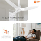Ceiling fan with text 'So quiet, you'll forget it's on' and 'Orient Electric' logo, man relaxing in a living room.