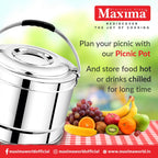 Maxima Double Wall Picnic Pot to store Food