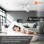 Woman sleeping peacefully in a modern living room with an Orient Electric ceiling fan.