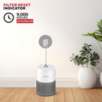 Air purifier with filter reset indicator on a wooden floor with a plant in the background