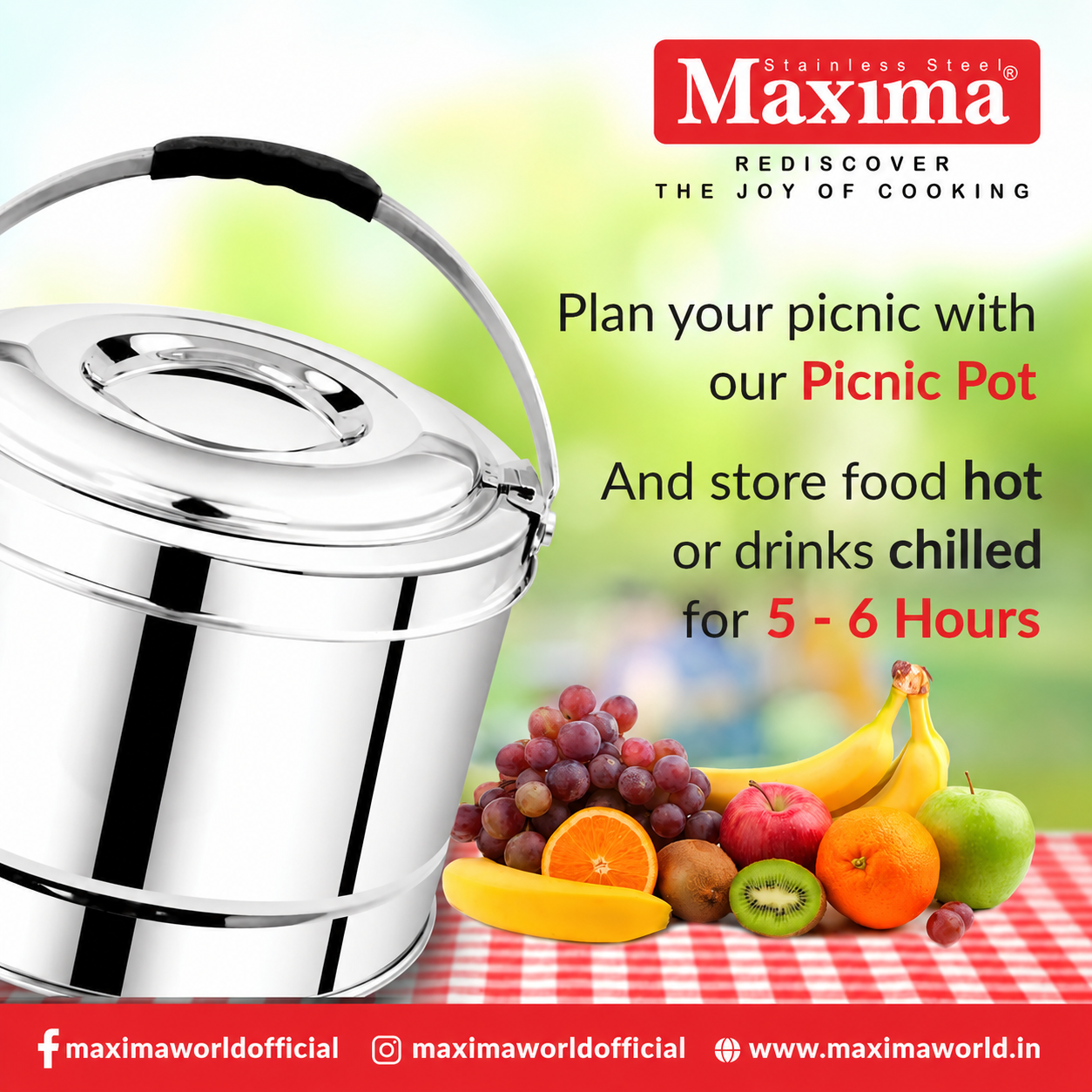 Promotional graphic for a Maxima stainless steel picnic pot, showing a shiny metal pot on the left and fruit arranged on a red-and-white checkered picnic blanket with marketing text on a soft green background.