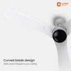 Ceiling fan with curved blades and Orient Electric logo on a white background