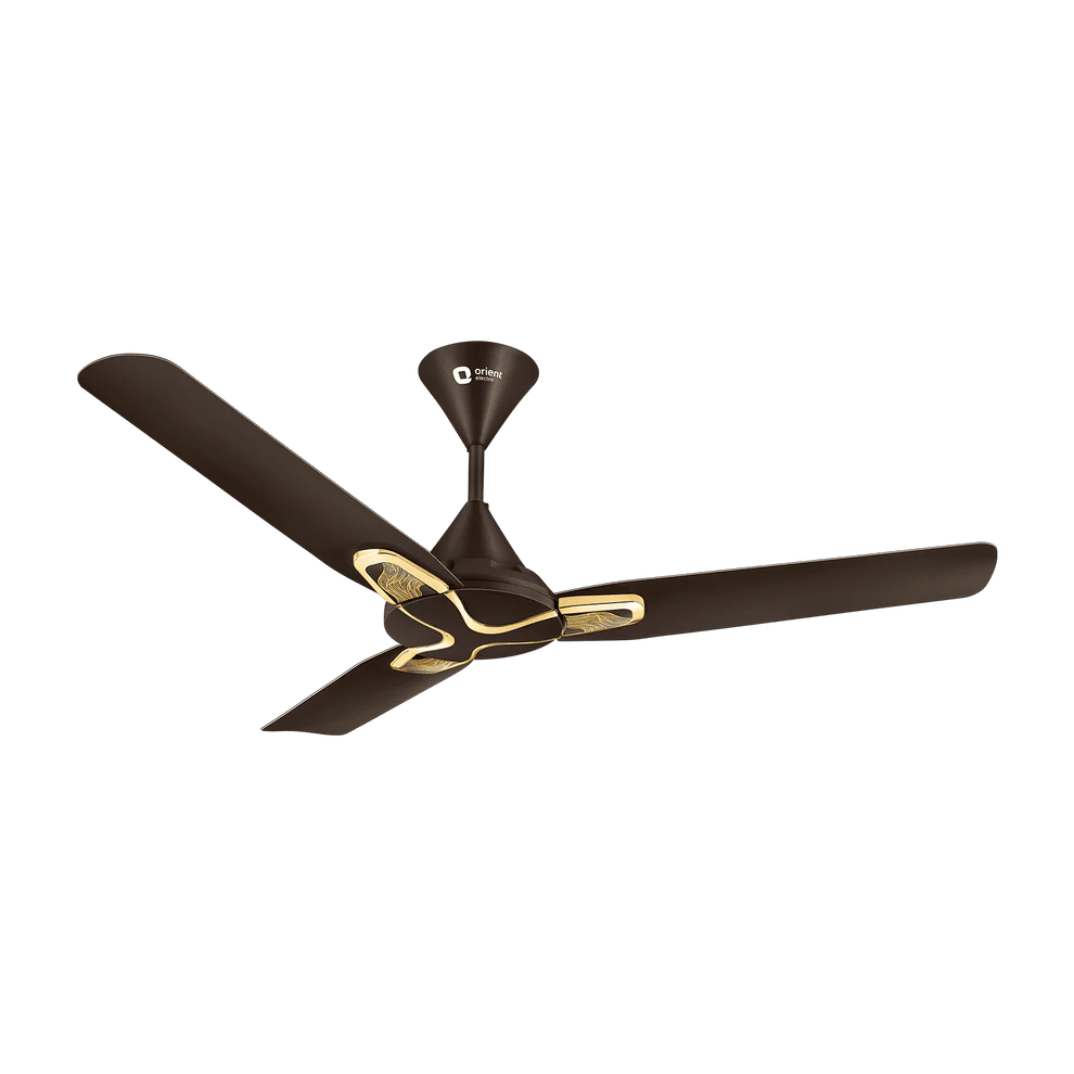 A three-blade ceiling fan in a dark brown finish with gold accents on the hub and blade edges, shown against a plain white background.