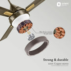 Ceiling fan with focus on motor and copper winding, featuring Orient Electric branding.