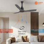 Ceiling fan in a living room with features highlighted, branded 'Orient Electric'.