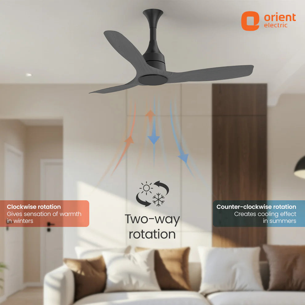 Ceiling fan in a living room with features highlighted, branded 'Orient Electric'.