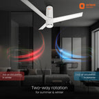Ceiling fan with two-way rotation feature in a living room setting, featuring Orient Electric logo.