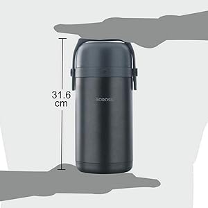 Borosil Vacuum Insulated Stainless Steel Lunch Box