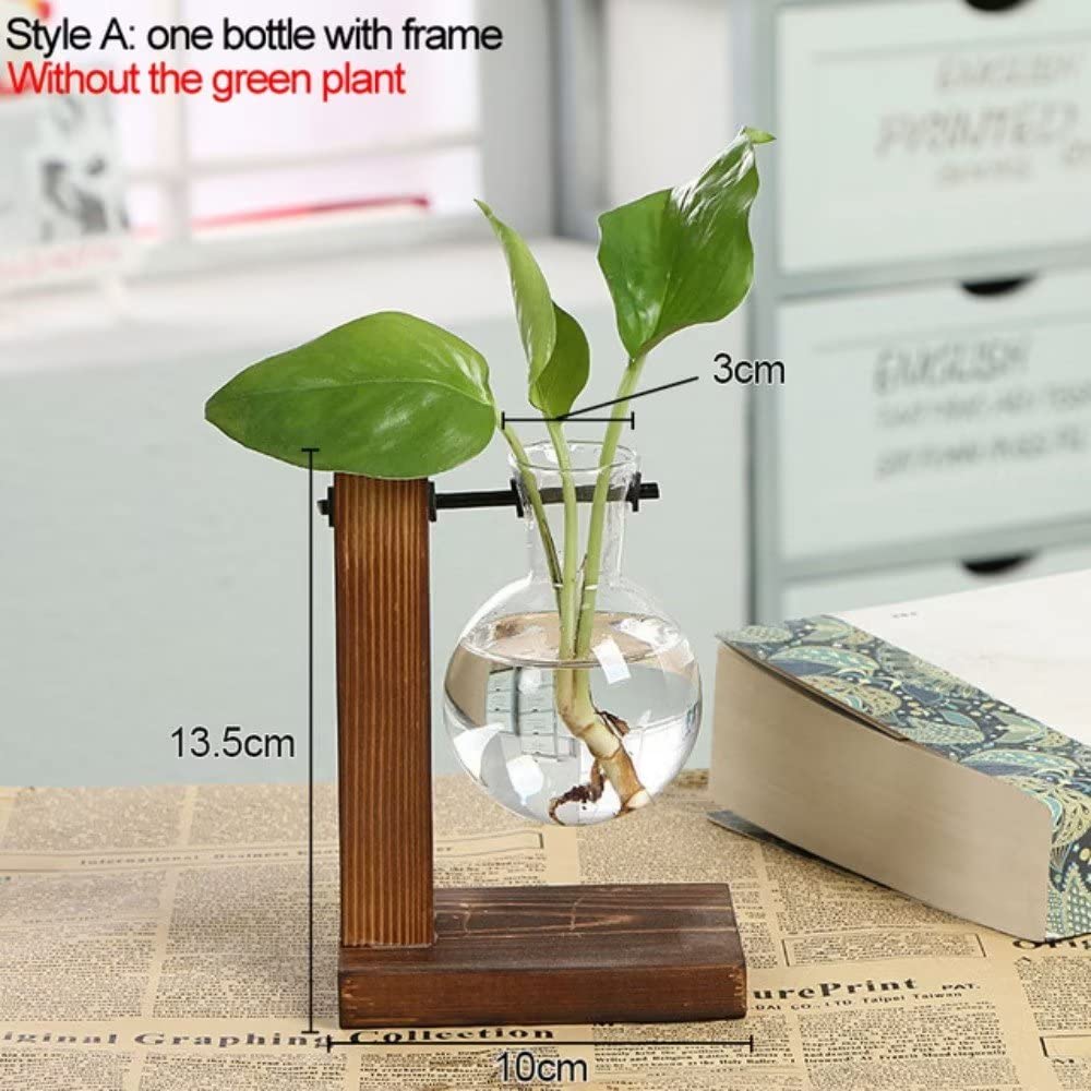 HASTHIP® 1Pcs Hydroponics Glass Planter