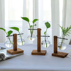 HASTHIP® 1Pcs Hydroponics Glass Planter