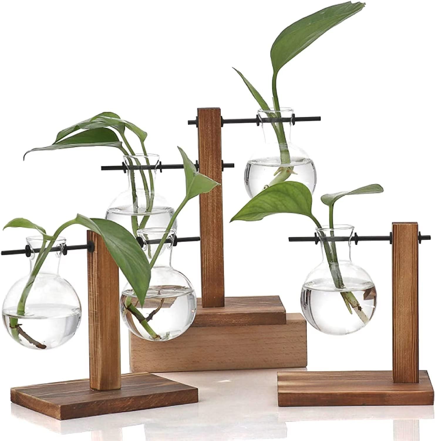 HASTHIP® 1Pcs Hydroponics Glass Planter