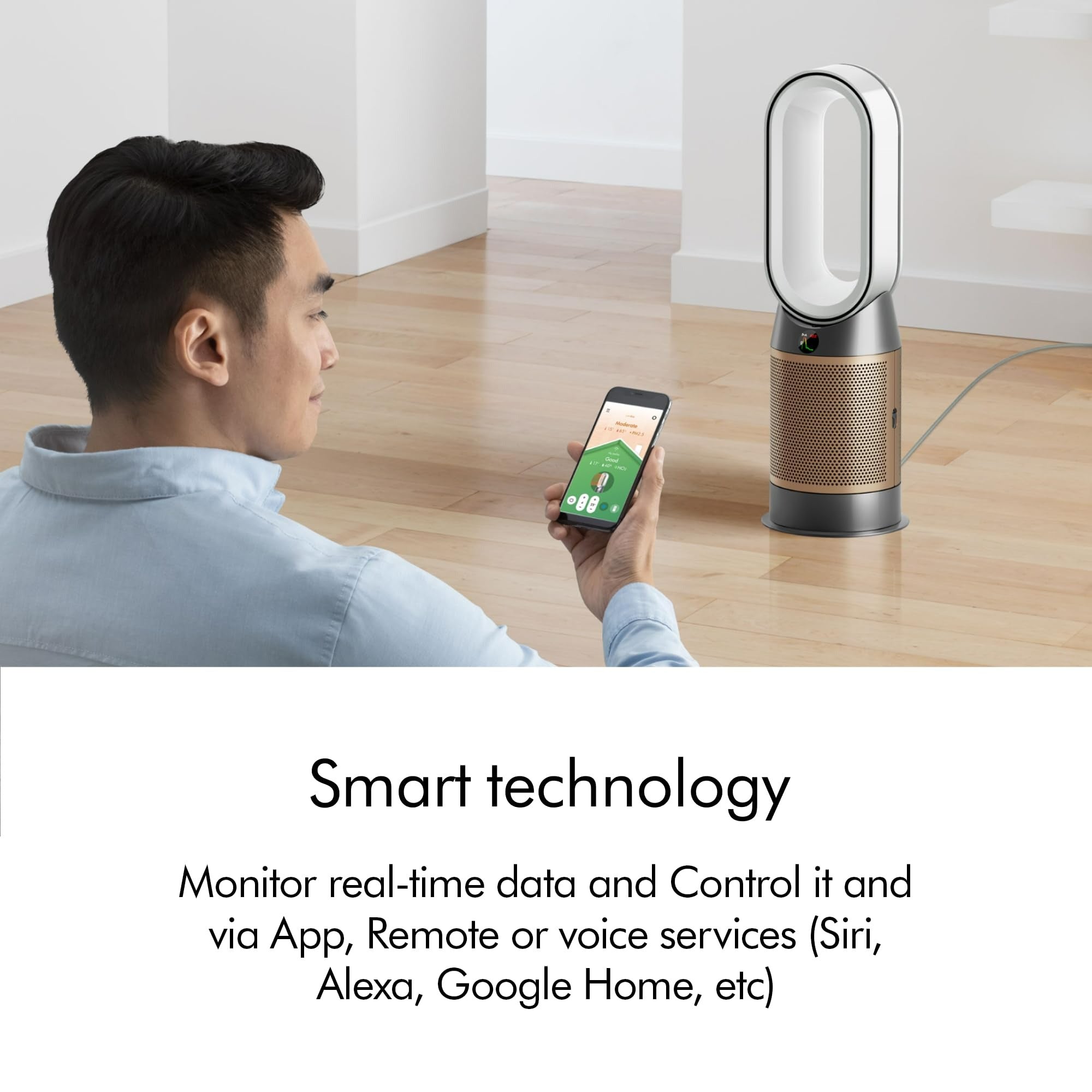 Dyson Air Purifier Hot+Cool HP2 De-Nox