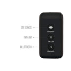 Saregama Carvaan Mini Hindi 2.0