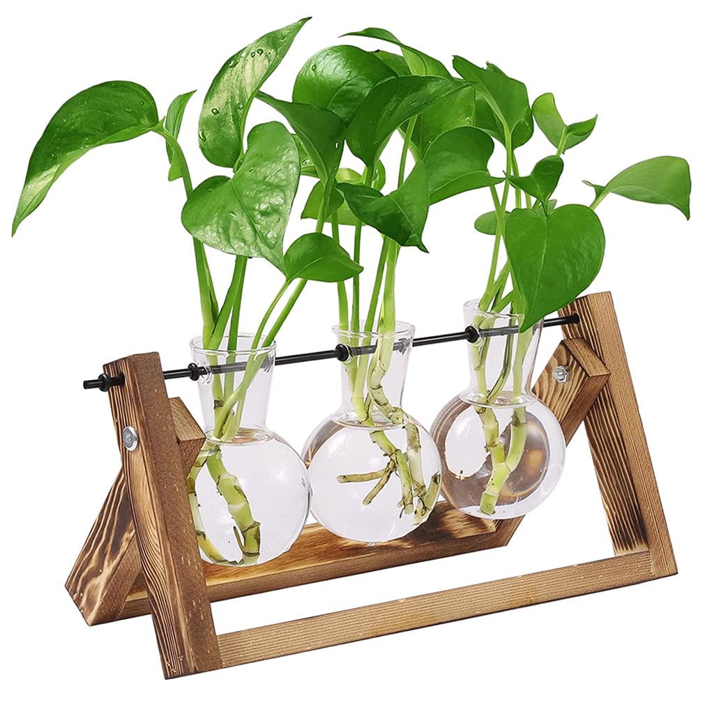 HASTHIP® 3Pcs Hydroponics Glass Planter