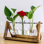 HASTHIP® 3Pcs Hydroponics Glass Planter