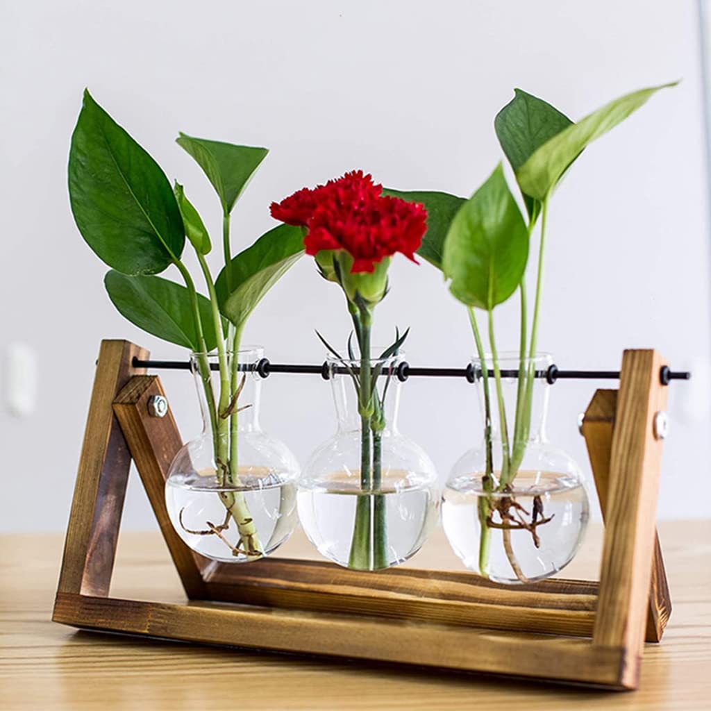 HASTHIP® 3Pcs Hydroponics Glass Planter