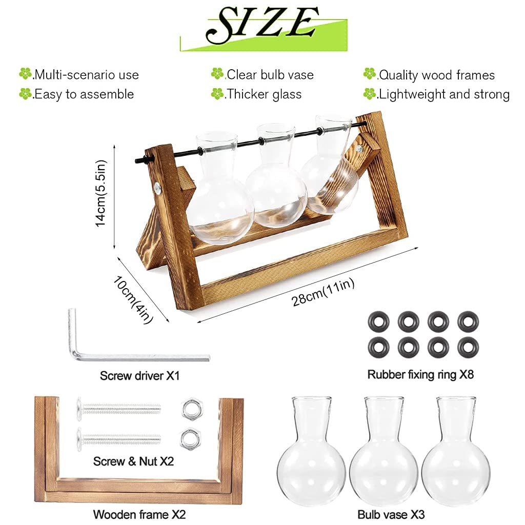 HASTHIP® 3Pcs Hydroponics Glass Planter