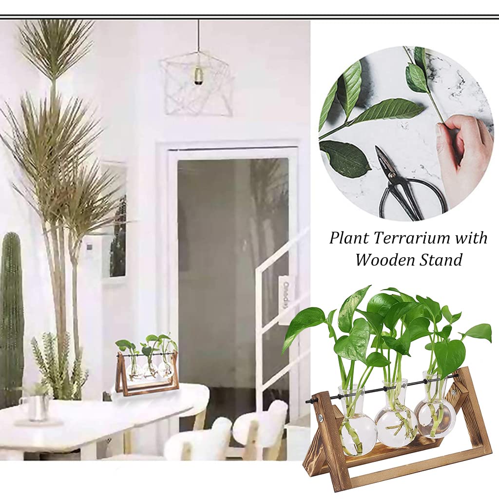 HASTHIP® 3Pcs Hydroponics Glass Planter