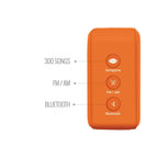 Phillips Saregama Carvaan Mini 2.0 Bhakti- Music Player