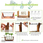 HASTHIP® 3Pcs Hydroponics Glass Planter