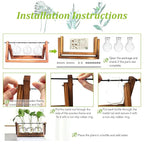 HASTHIP® 3Pcs Hydroponics Glass Planter