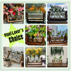 HASTHIP® 3Pcs Hydroponics Glass Planter