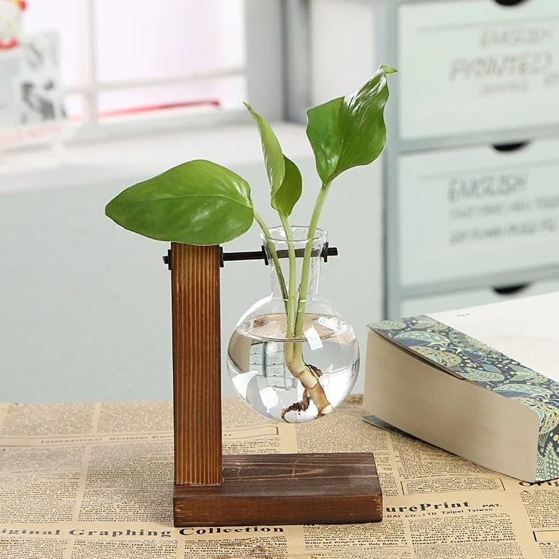 HASTHIP® 1Pcs Hydroponics Glass Planter